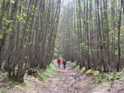 Un etimo affascinante: Da “Fossa” a “Villa”